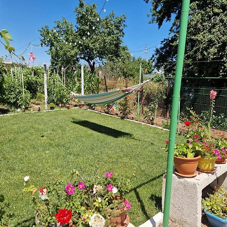 מלון Două Mai Casa Simona מראה חיצוני תמונה