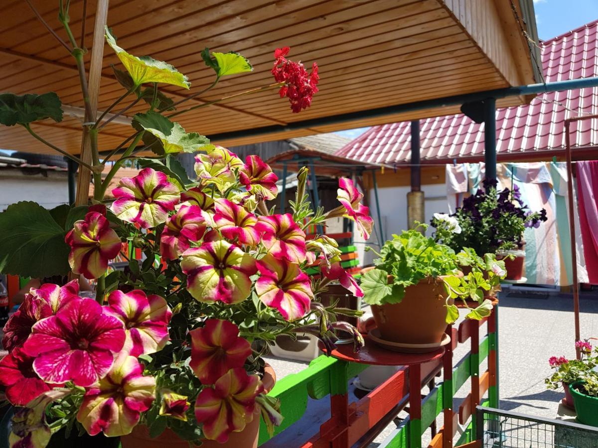 מלון Două Mai Casa Simona מראה חיצוני תמונה
