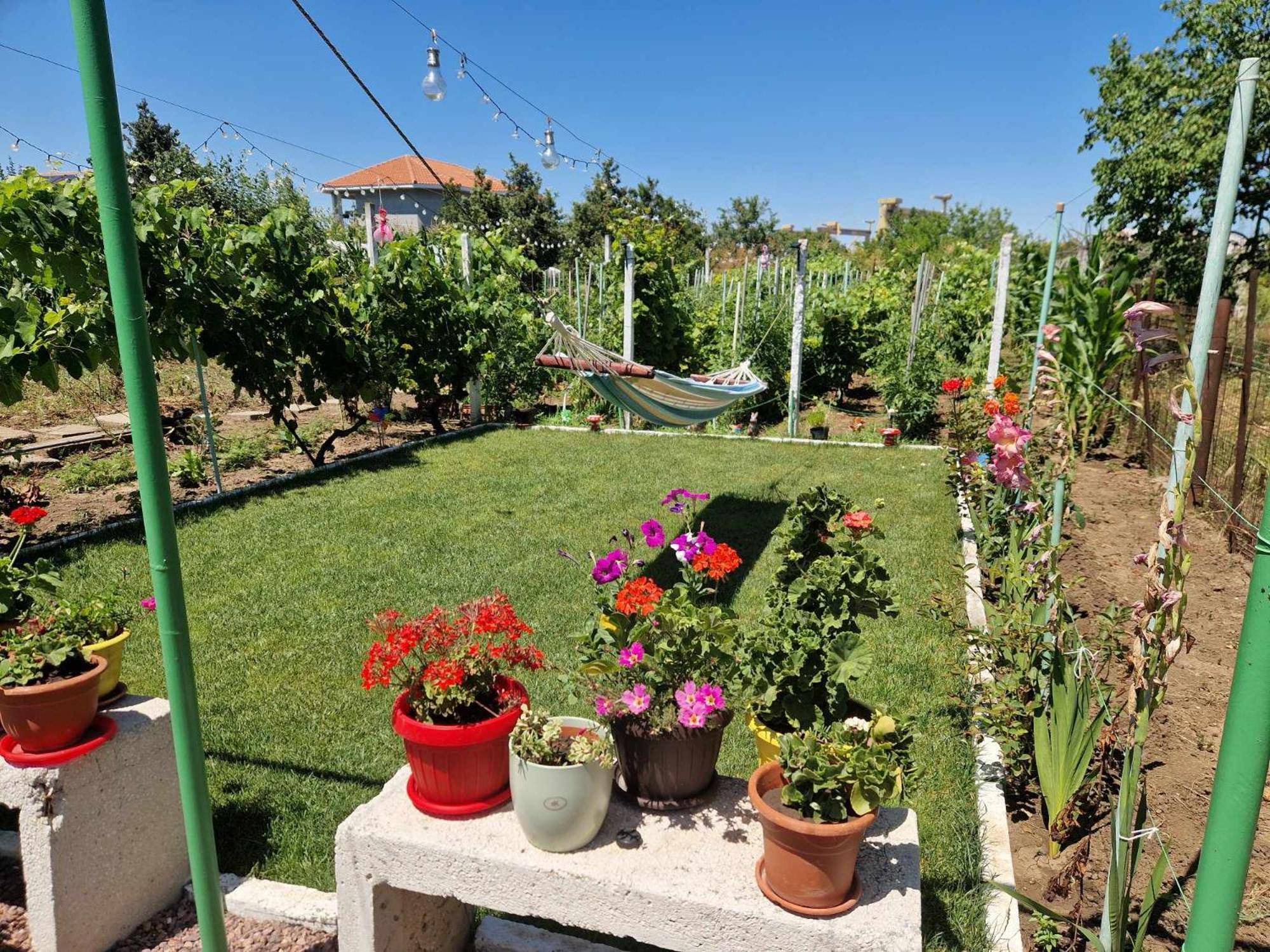 מלון Două Mai Casa Simona מראה חיצוני תמונה